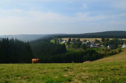 Hostal Berggasthof Zur Glocke
