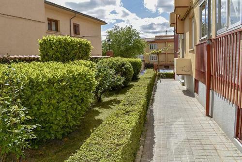 Apartamento C�ntrico Con Piscina