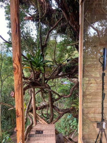 Casa En El �rbol Glamping Urantia