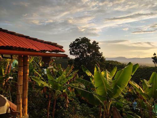 Alojamiento Completo, Zona Cafetera - Ulloa, Valle
