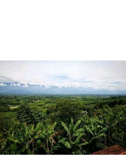 Hostal Hotel Guadua Y Caf�