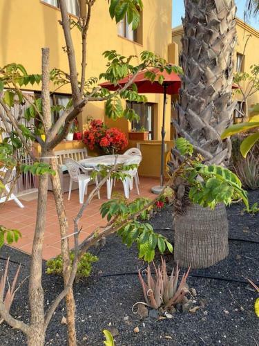 Apartamento Jard�n Canario