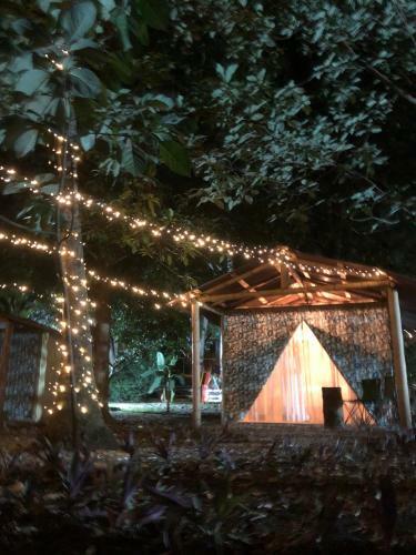 1541 Ecolodge - Glamping