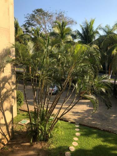 Apartamento Cormoran Cozy Condo In Ixtapa