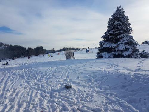 Apartamento Appartement Neuastenberg