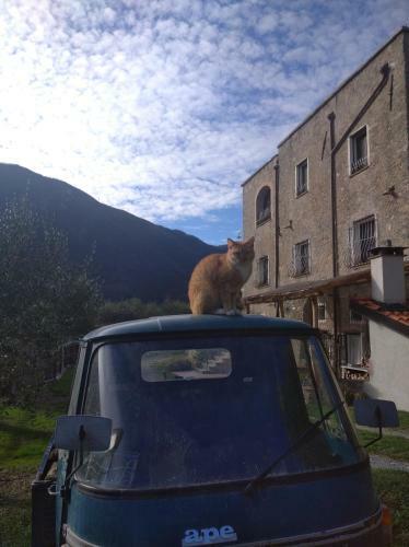 Apartamento Agriturismo Le Case Rotte