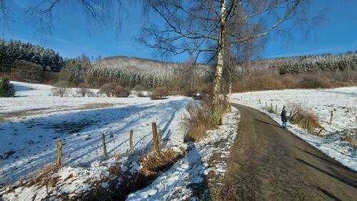 Apartamento Enjoy Winterberg