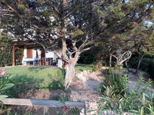 Apartamento Baia Delle Mimose Garden