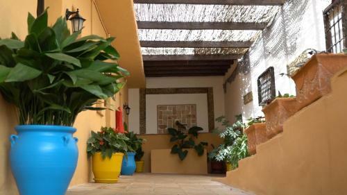 Hotel Rural Cortijo De Salia