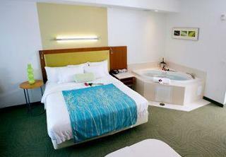 Hotel Springhill Suites Detroit Auburn Hills