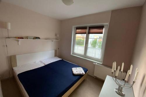 Apartamento Bungalow 6