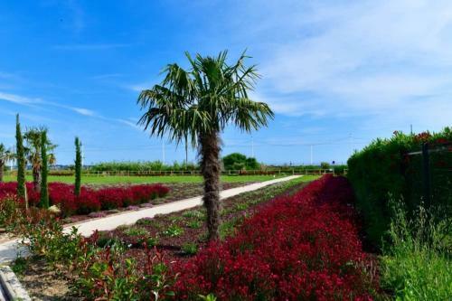 Apartamento Domaine Juan Flore