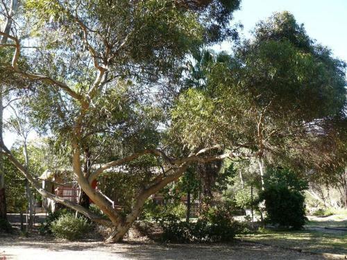 Bed & Breakfast Barossa Country Cottages