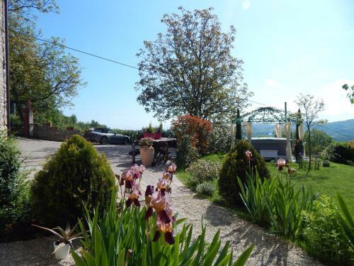 Hostal Le Terre Di Bormana - Guest House
