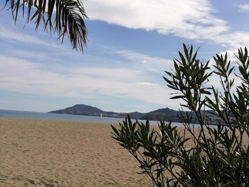 Apartamentos Etoile de Mer F2