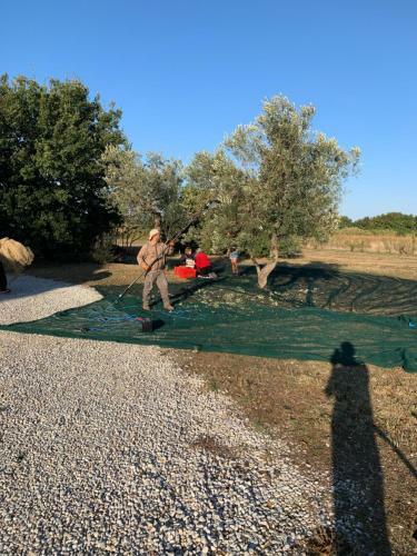 Apartamento Podere Campo Alle Serpi