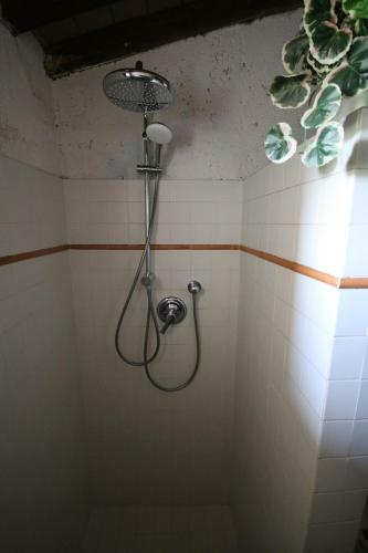 Apartamento Podere Campo Alle Serpi