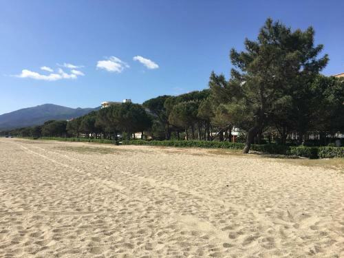 Apartamento Appt F3 A 80m de La Mer