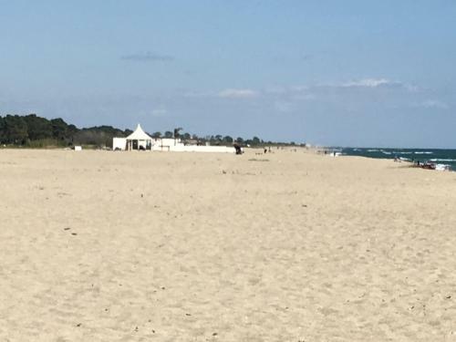 Apartamento Appt F3 A 80m de La Mer