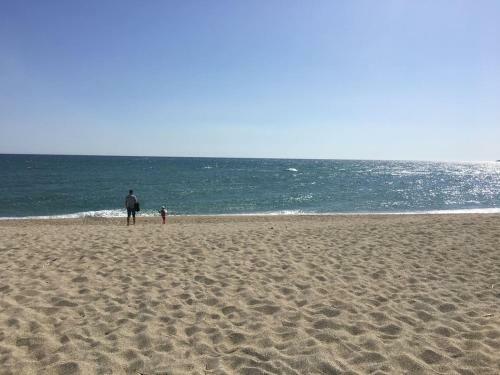 Apartamento Appt F3 A 80m de La Mer