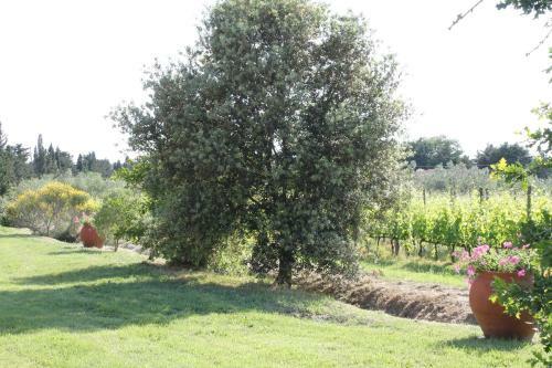 Apartamento Le Grascete