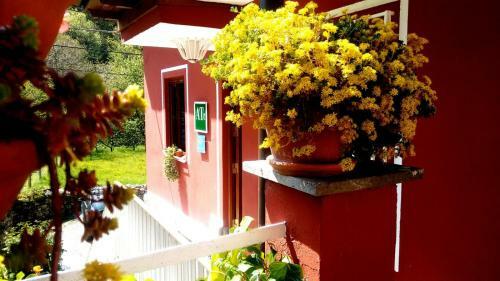 Apartamentos Huerta Car�a I Y II