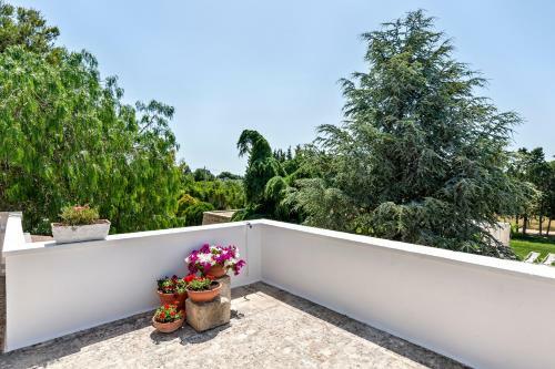 Agroturismo Olive Garden House