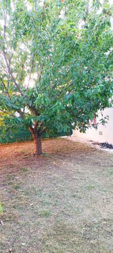 Ravissante Chambre � Aucamville