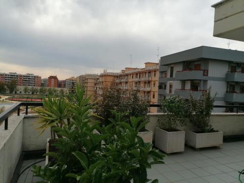 Apartamento Brigida 5