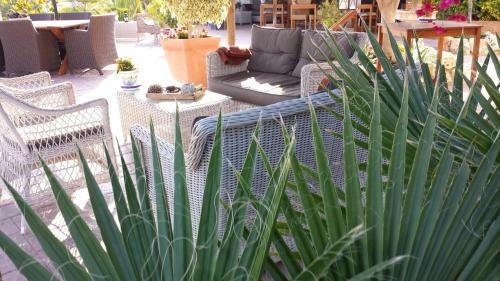 Bed & Breakfast | Guest House Casa Don Carlos