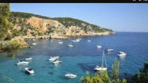 Apartamento Bandol Danton