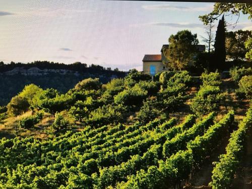 Apartamento Villa Lina