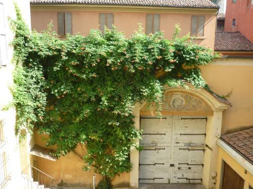 Apartamento Le Statue-luxury Open Space-five Stars Suite