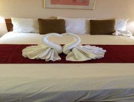 Motel Knights Inn