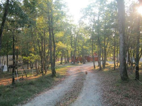 Chalet Champ�tre Dans Les Bois Du Lot, Immersion.