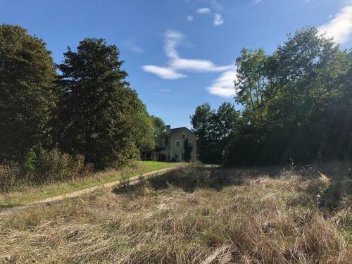 L'appel De La For�t 51