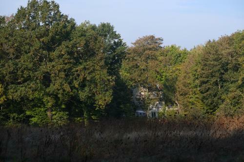 L'appel De La For�t 51