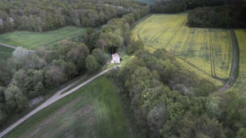 L'appel De La For�t 51