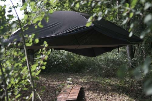 L'appel De La For�t 51