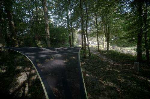 L'appel De La For�t 51