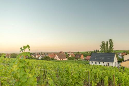 Apartamento Aux Pieds Des Vignes