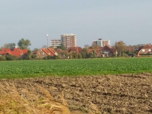 Apartamento Ferienwohnung Sonnenschein Mit Pool