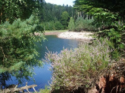 Holiday Home Maison de La Creuse Celles Sur Plaine