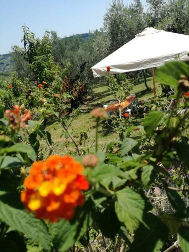 Apartamento Vacanze In Collina, Tra Mare E Monti