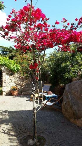 Cottages Delle Costellazioni