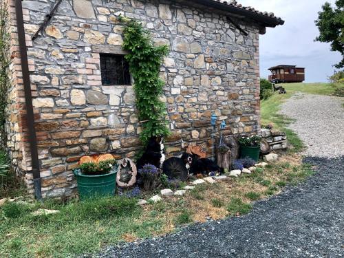 Bed & Breakfast La Locanda Nel Vento