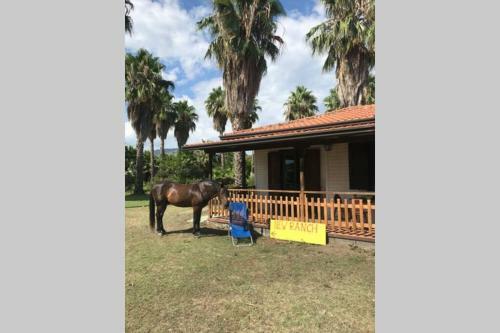 New Ranch Club Bungalow 2, 3 Min Del Mar