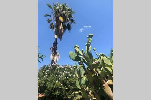 New Ranch Club Bungalow 2, 3 Min Del Mar