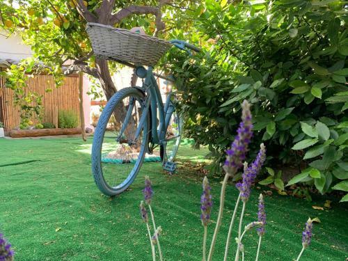 Bed & Breakfast Bnb Le Janas