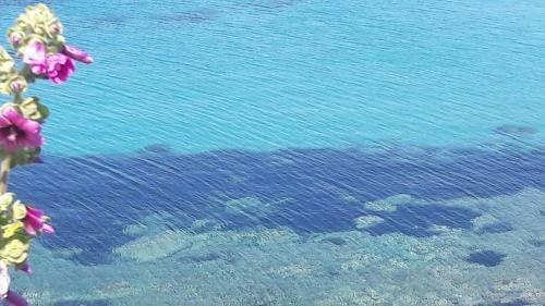 Apartamento Casa Vacanze Da Gi�, A Due Passi Dal Mare